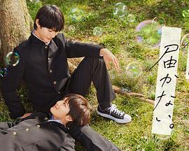 完整版bt电影天堂在线海报剧照