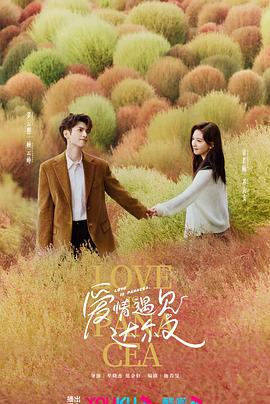 手机中文字幕海报剧照